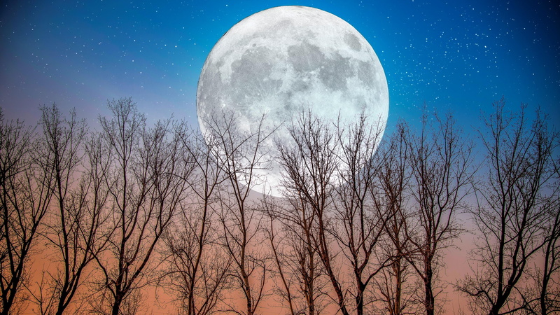 no people, astronomy, nature, planetary moon, dusk, starry sky, moonlight, silhouette, blue, sky, tranquility, supermoon, outdoors, low angle view, beauty in nature