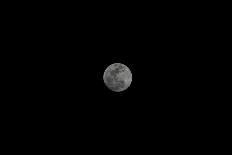 black background, lunar eclipse, low angle view, circle, space, tranquil scene, universe, moon, grey, low, moon surface, angle, moonlight, 5K