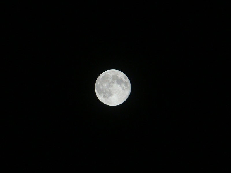 majestic, sky, fullmoon, astrology, planetary moon, space, full, science, dark, galaxy, gravity, no people, lunar, sphere, circle, beauty in nature, nature