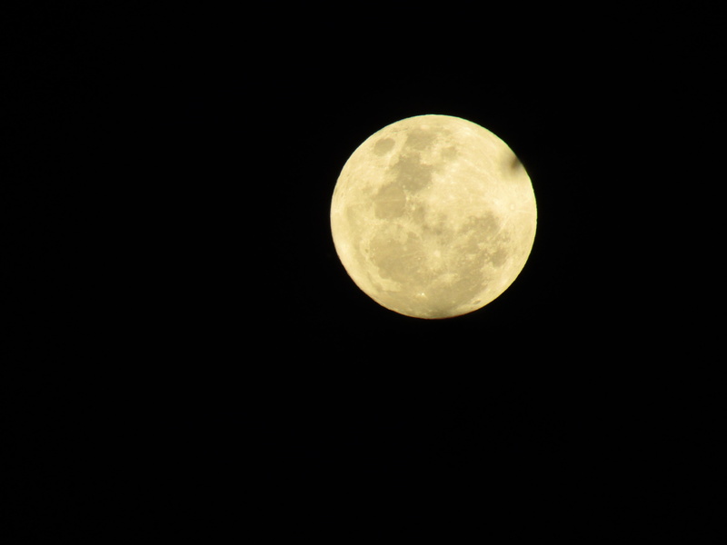 moonlight, geometric shape, dark, outdoors, australia, night, moon Surface, nature, space, 5K, low angle view, moon, supermoon, clear sky, sky, planetary Moon