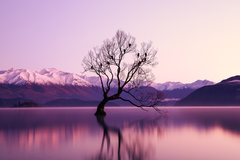 nature, Lake Wanaka, 5K, water, purple, reflection, trees