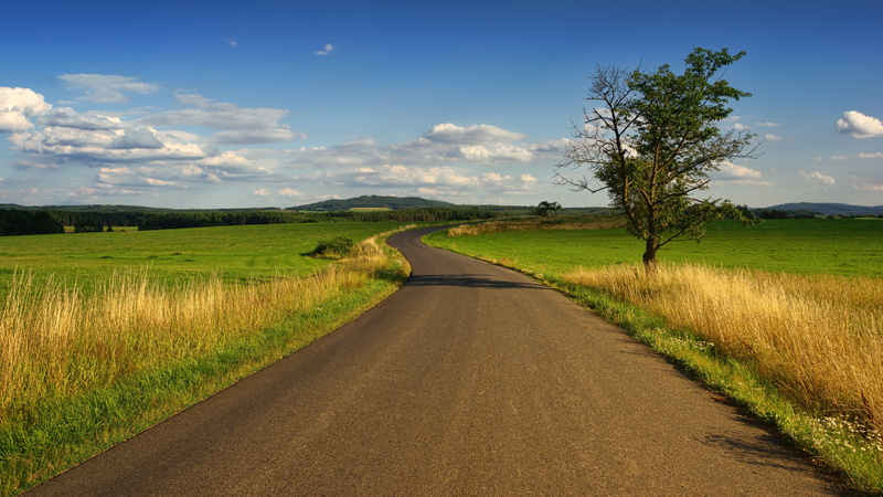 summer, field, tree, grass, lone tree, summer landscape, endless, 5K, road, endless road, landscape photography