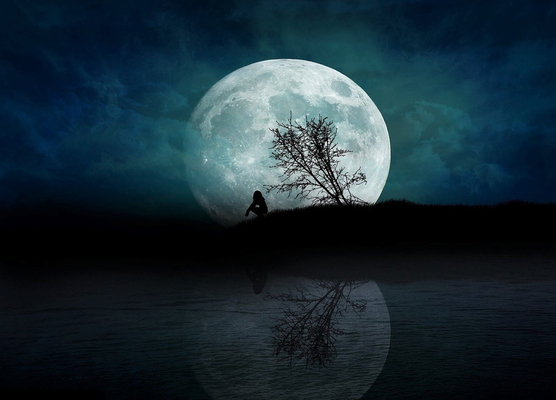outdoors, Lonely, plant, Night, Moon, full moon, Alone, dark, reflection, Artistic, contemplation, Tree, astronomy, cloud - sky, moonlight, Fantasy, scenics - nature