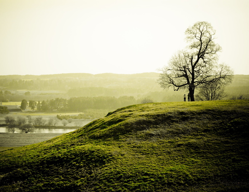 hill, lithuania, nature, grass field, silhouette, rural Scene, tree, landscape, lake, green grass, mist, kernave, forest, grass, green, outdoors, green  field