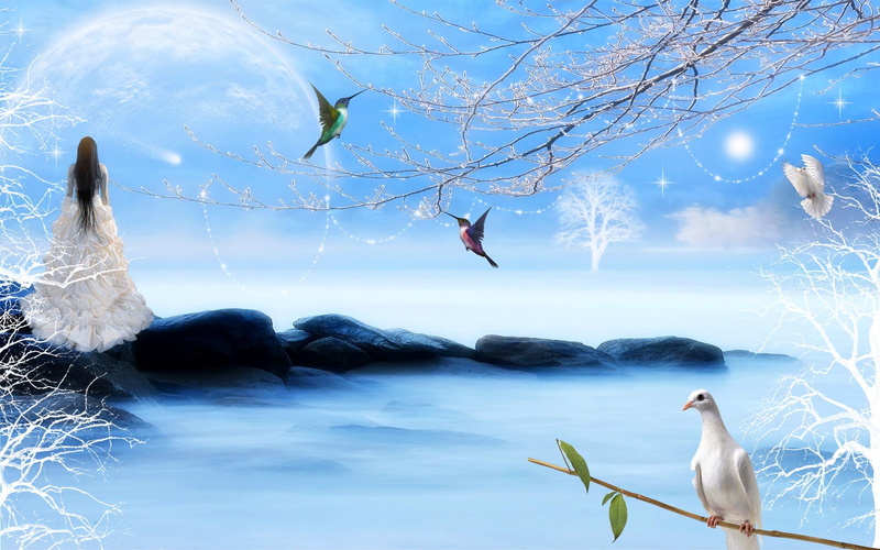 white, 3d and abstract, star, pigeon, falling, 1080P, catch, lady, fantasy