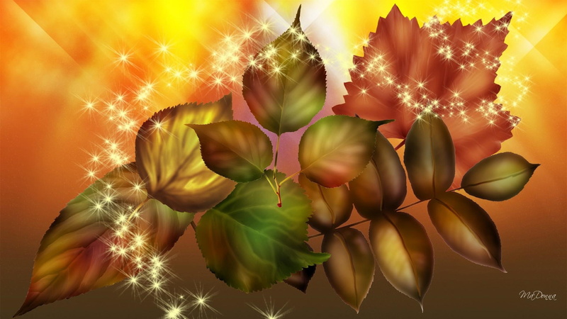firefox persona, orange, brilliant, leaves, stars, autu, fall, sparkles, gold, yellow, 1080P, shine, bright