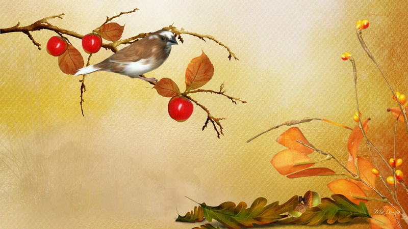 ground, tree, chill, leaves, breeze, cold, fall, wind, yellow, simple, amber, berries, bird, autumn, acorns, gold, 1080P