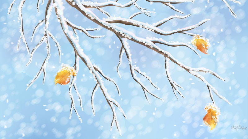 winter, snowing, cold, fall, tree, autumns, 1080P, leaves, last, blue, autumn, snow