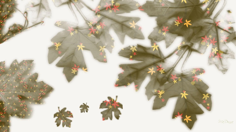 autumn, clusters, abstract, 3d and abstract, leaves, firefox persona, fall, 1080P