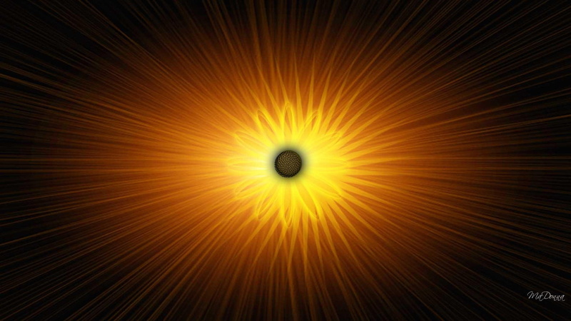 firefox persona, bright, explosion, sunflower, autumn, 1080P, explosive, 3d and abstract, yellow, abstract, illustration, fall, flower