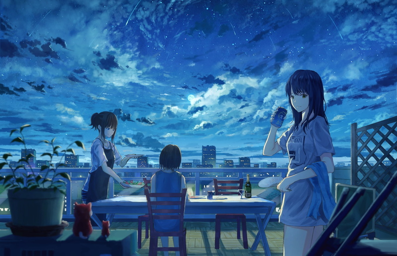 night, sky, three quarter length, leisure activity, women, glass, men, blue, table, real people, lifestyles, sitting, restaurant, people, anime girls, falling stars