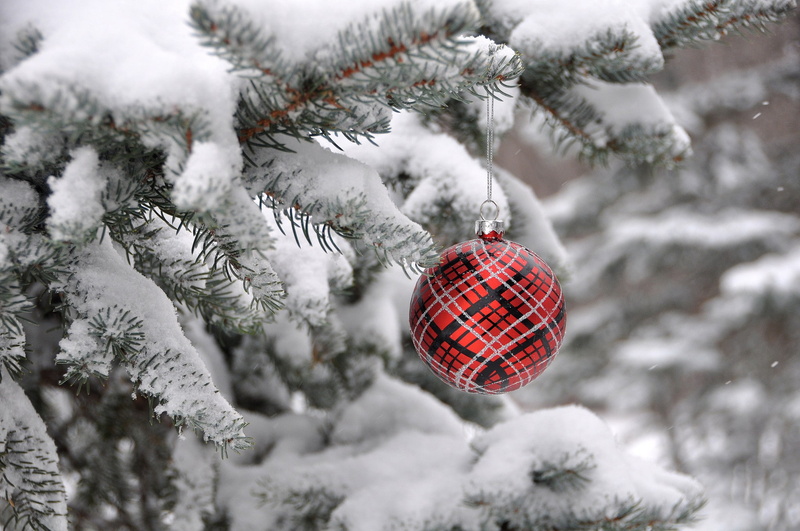 Christmas, ball, winter, New Year, decoration, 1080P, tree, fir