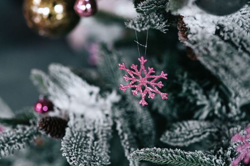 christmas, vulnerability, beauty in nature, winter, day, flowering plant, Christmas tree, fir Tree, growth, selective focus, purple, decor, close-up, 5K