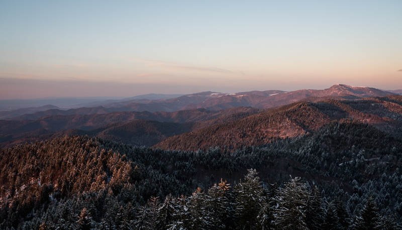 schwarzwald, hill, black forest, brown, scenics - nature, outdoors, idyllic, remote, land, sky, tranquil scene, daytime, environment, tranquility, nature