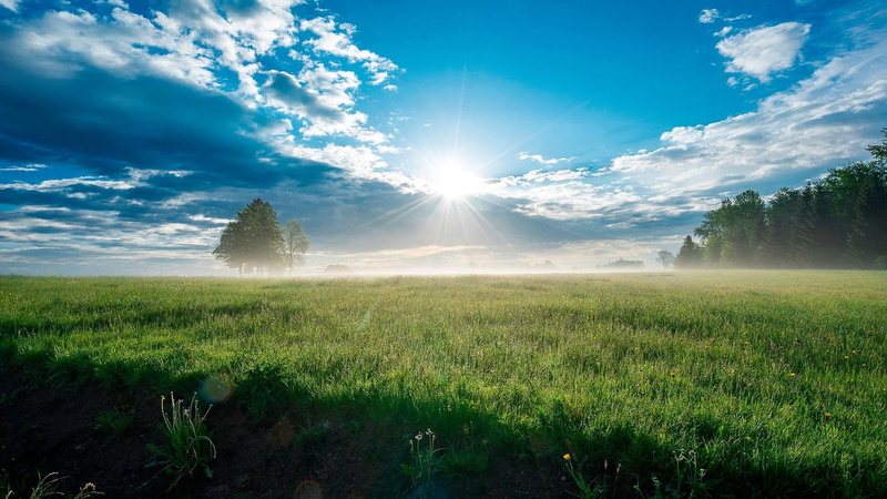scenics - nature, sunny, day, blue sky, 1080P, grassland, beauty in nature, sunshine, schwarzwald, europe, sunny weather, sunbeam, germany, tranquility