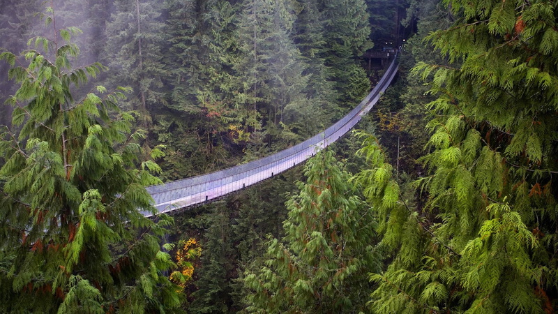 columbia, suspension, capilano, bridge, 1080P, nature and landscapes, british