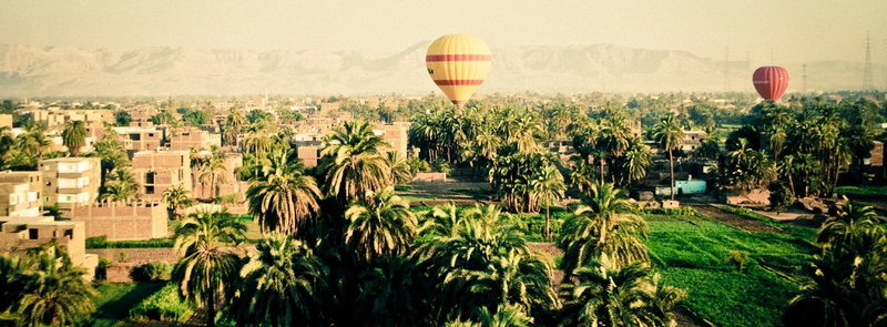 air vehicle, growth, scenics - nature, city, palm, travel, town, environment, architecture, hot, retro, view, hot air balloon, hot-air balloon, balloon