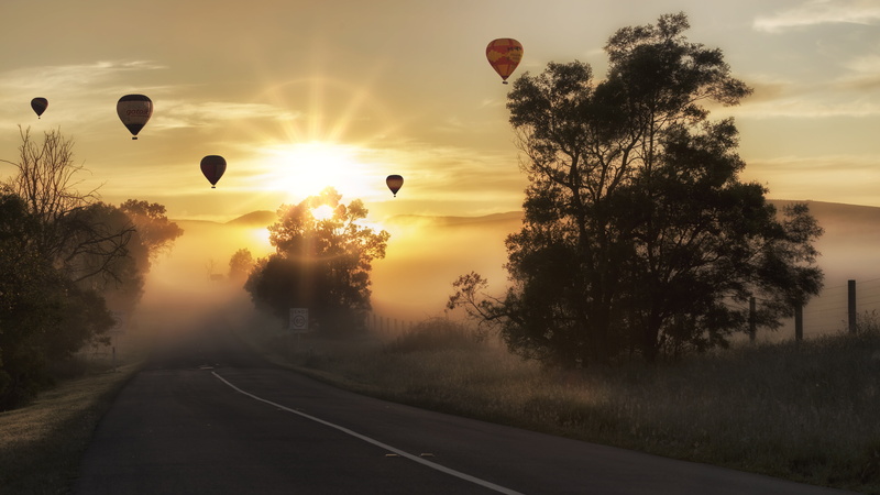 dom, basket, sun, outdoors, hot, festival, ballooning, cloud - sky, near, golden, balloon, air vehicle, air, fly, plant, 5K, flying, hot air, scenics - nature