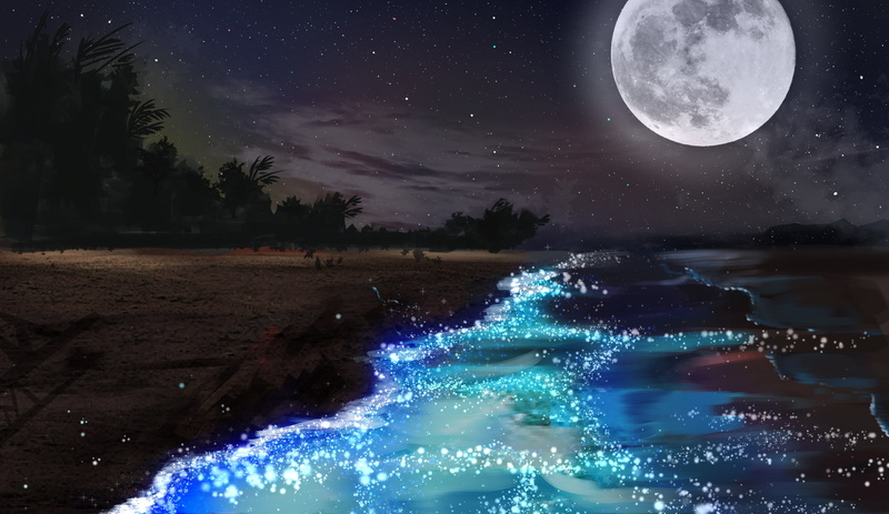 1080P, video, digital composite, Moon, halo, tranquil scene, forest, night, tree, star - space, outdoors, px, tranquility, hd, plant, sky, illuminated