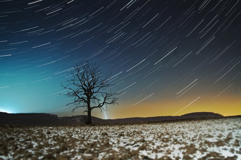 5K, Sterne, landscape, Himmel, Baum, photography, trees, tree, Nacht, Schein, black, sky, star - Space, Stern, nature, Long  Exposure, Blau