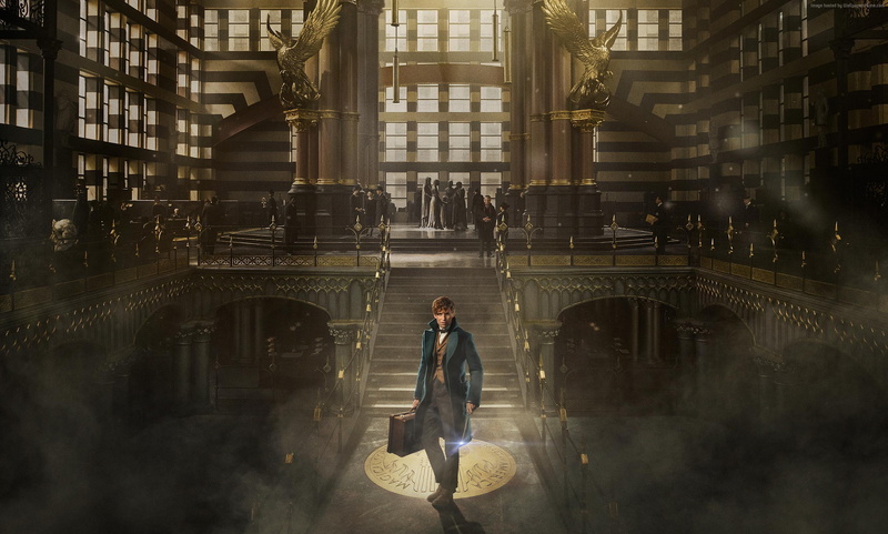 Eddie Redmayne, Fantastic Beasts And Where To Find Them, 2K, Best Movies
