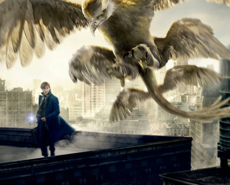 Fantastic Beasts and Where to Find Them, Thunderbird, HD, 2K
