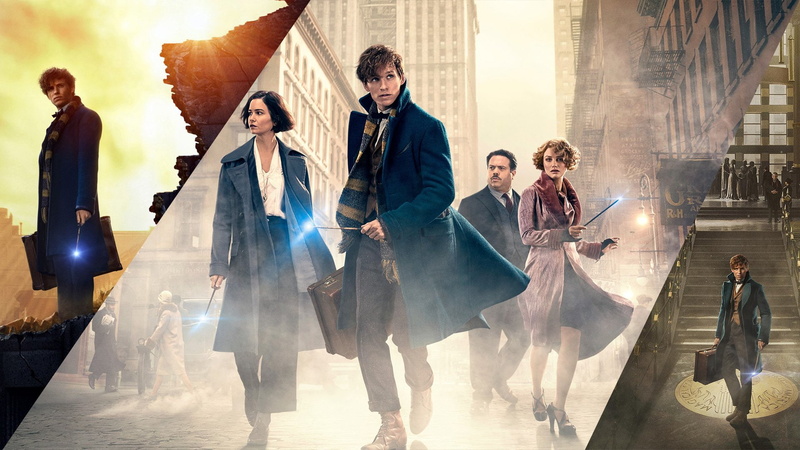 Movie, Eddie Redmayne, Fantastic Beasts and Where to Find Them, 1080P, Newt Scamander