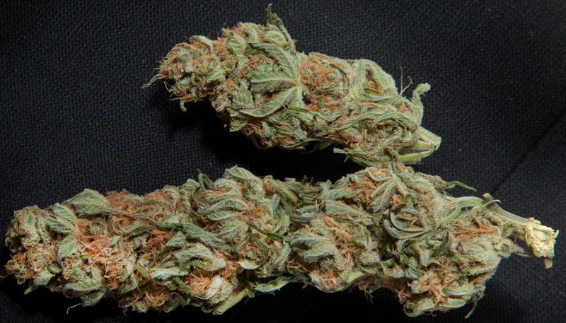 plant, medical cannabis, freshness, food, still life, high angle view, herbal medicine, marijuana  photos, healthcare and medicine, indoors, medicine, food and drink
