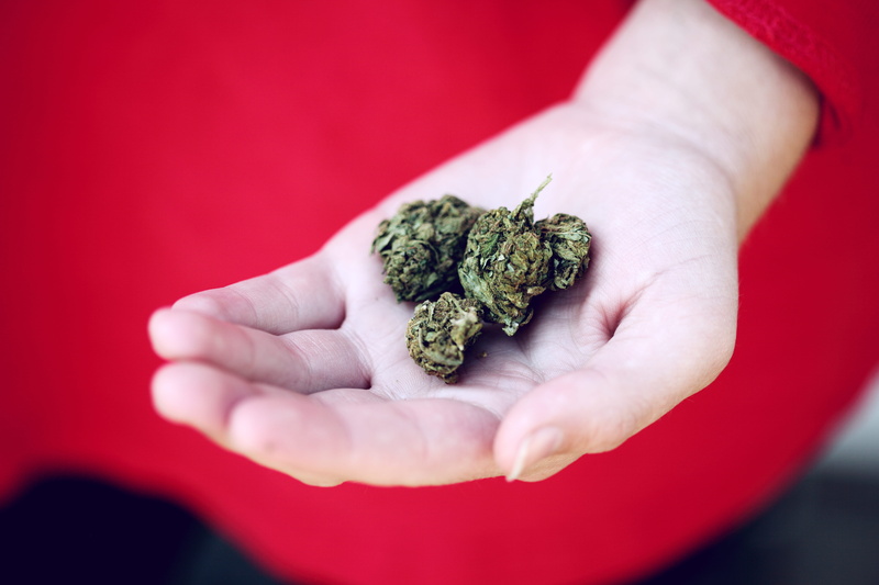 food and drink, ogden, focus on foreground, nature, people, red and green, adult, wildlife, marijuana - herbal cannabis, holding, red, indoors, healthcare and medicine