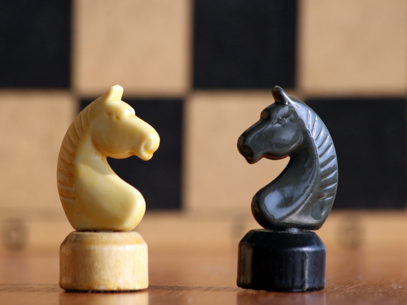 strategy, black, close-up, still life, knight, chess Board, indoors, representation, craft, leadership, pawn - Chess Piece, horse, white, no people, wood - Material