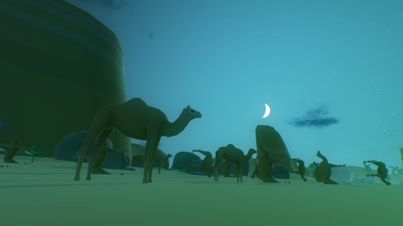 undersea, animals in the wild, leisure activity, water, video games, marine, camels, group of people, swimming, night, animal wildlife, people, vertebrate