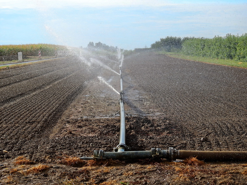 Agriculture, growth, plowed field, transportation, sky, arable, Field, farm, Arable, irrigation, pour, land, no people, Landscape, dirt, environment, nature