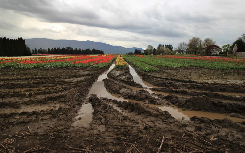 mud, dirt, field, 720P, tracks
