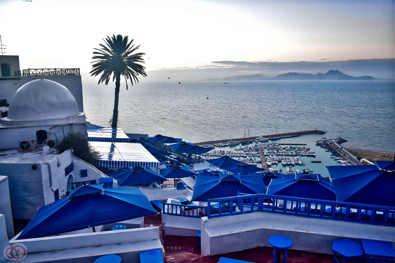 travel, tree, outdoors, architecture, sidi bou said, mode of transportation, day, blue sky, beauty in nature, tunisia, water, nature, transportation, nautical vessel