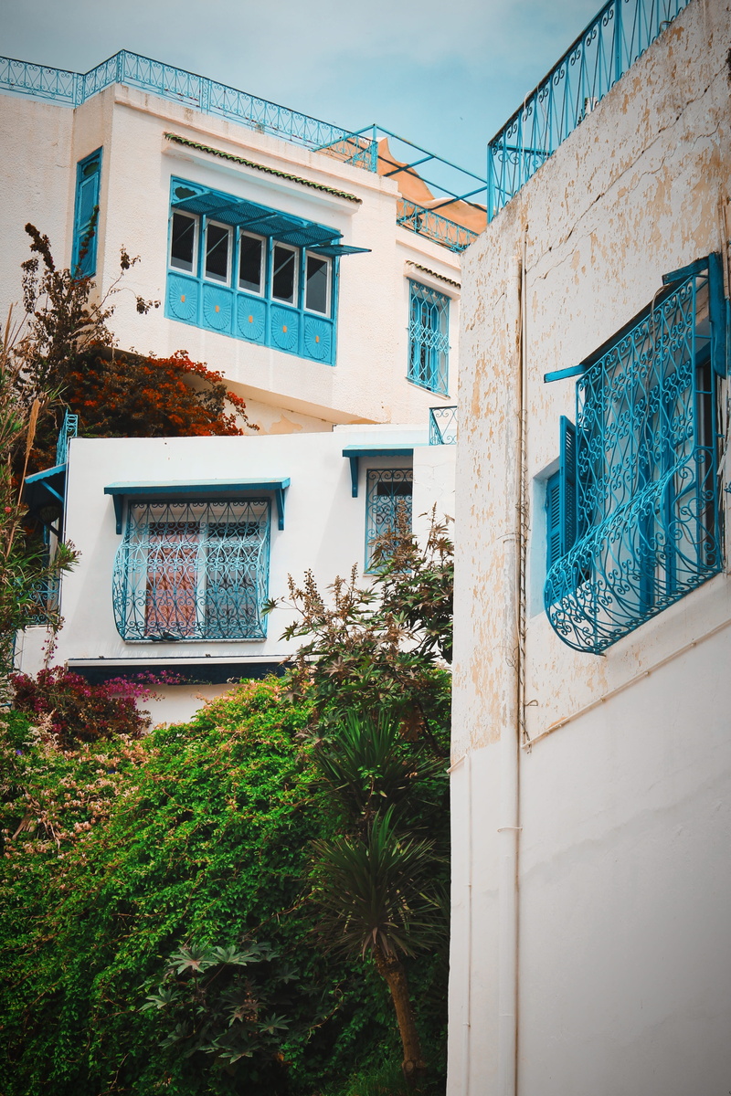 spring, flowers, sidi bou said, carthage, graffiti, architecture, wall, plant, western script, wall - building feature, city, tunisia, trees, 4K, day