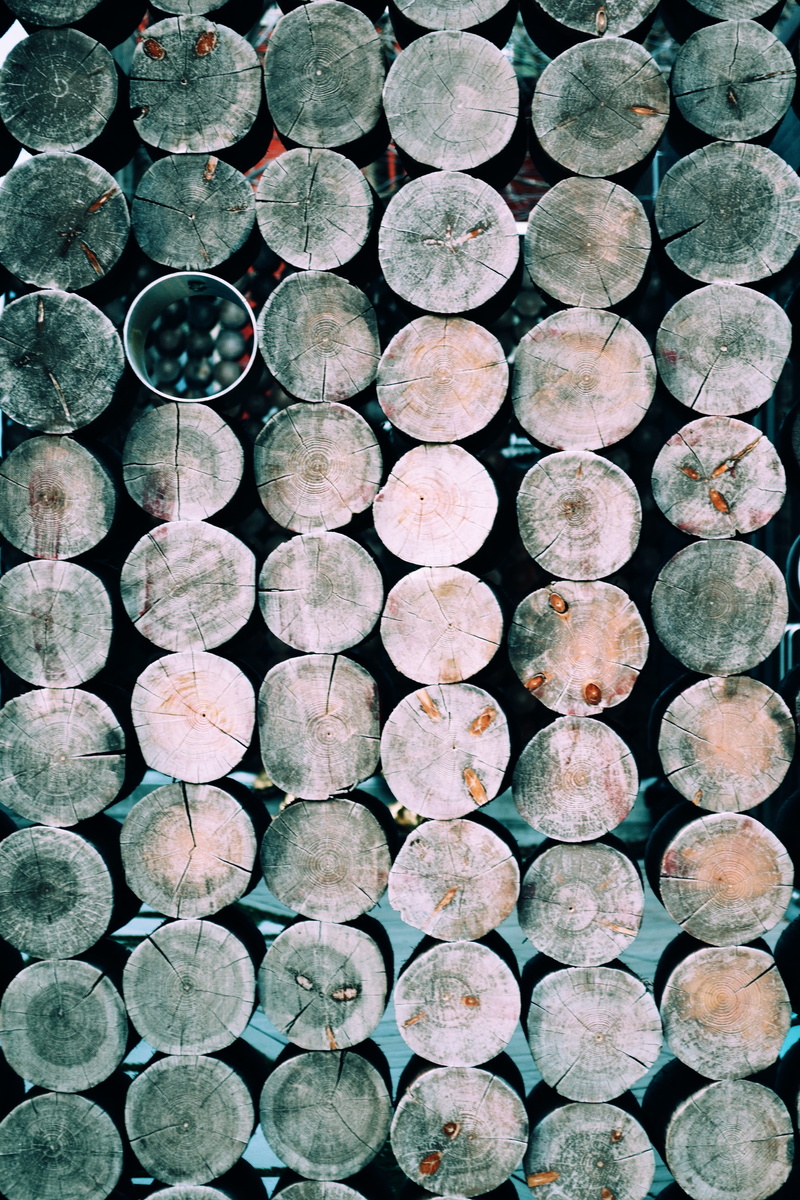 log, alcohol, stack, timber, no people, Who said, pattern, day, shape, logs, directly above, lot, textured, backgrounds, outdoors, large group of objects