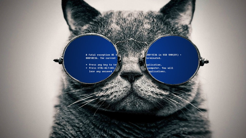 Blue Screen of Death, glasses, cat, 720P