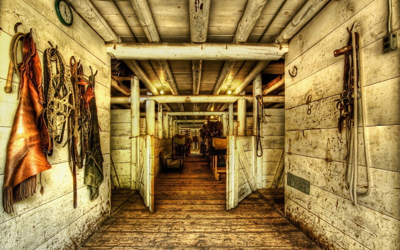 door, nature and landscapes, equipment, stables, horse, lovely, 1080P, hdr