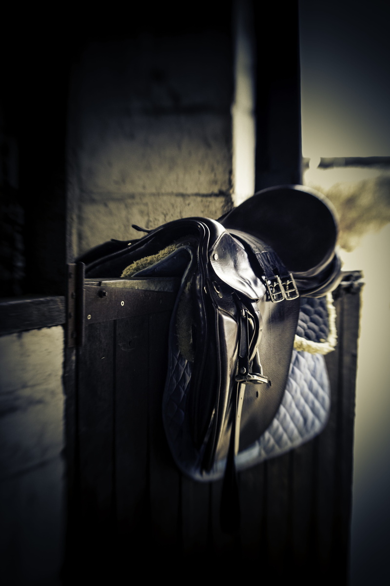 vignette, no people, selective focus, door, stirrup, metal, absence, riding, Stable Door, focus, architecture, indoors, animal, tack, still life, day, bridle