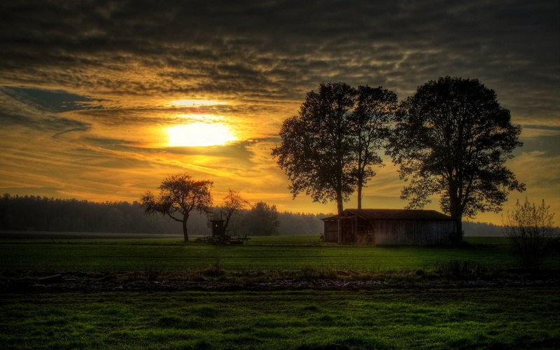 orange Color, sunrise - Dawn, autumn, red, season, meadow, scenics, sun, rural Scene, agriculture, sunset, land, tree, environment, scenics - nature, idyllic