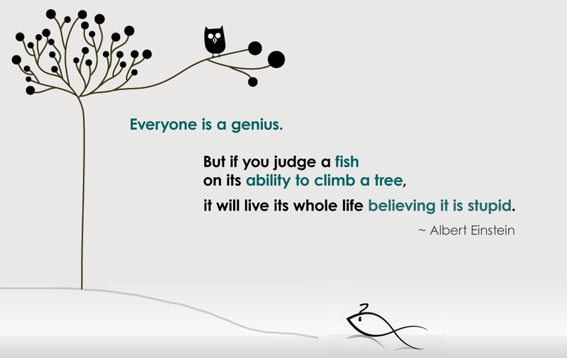 hd, 720P, text, judge, x, animals, art, FISH, genius