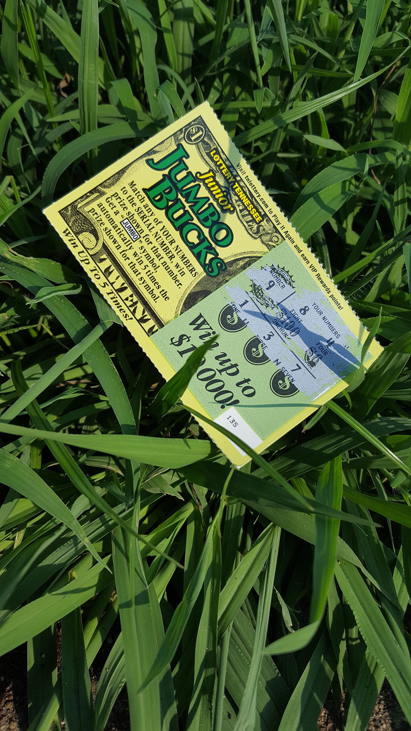 text, plant, field, western script, sign, day, failure, plant part, green color, guess, outdoors, close-up, lotto, money, growth, high angle view, ticket