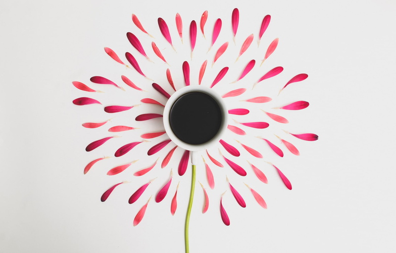 mug, cup, red, plant, studio shot, flowering plant, white background, digital composite, close-up, flower head, fragility, high angle view, petal, 1080P