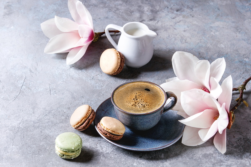 Flower, Cup, Still Life, Coffee, 4K, Food, Macaron
