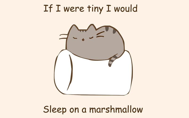 cat, pusheenthecat, western script, white color, paper, smiling, no people, black color, emotion, sign, symbol, pusheen, message, studio shot, 720P, positive emotion