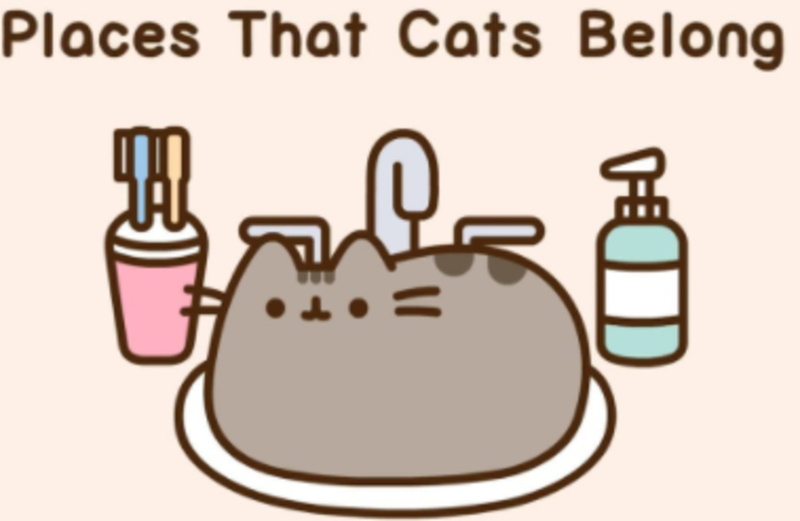 1080P, pusheen, cats