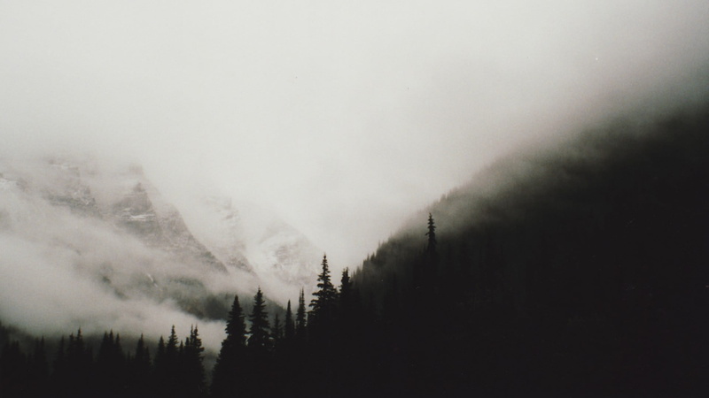 mountains, monochrome, panoramas, pine woodland, landscape, plant, tree, scenics - nature, no people, hills, fog, nature, tranquil scene, land, mist, coniferous tree