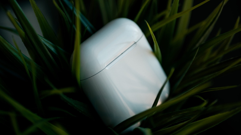blossom, finger, leaf, amaryllidaceae, growth, food and drink, green, high angle view, electronics, single object, cosmetics, apple airpods, easter, 4K