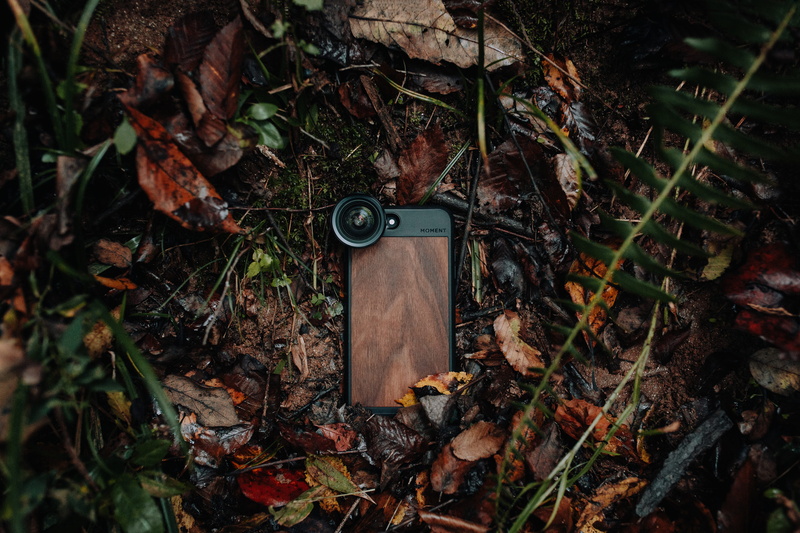 protection, day, leaf, tech, found, safety, tree, growth, plant, change, attached, moment, smart phone, black, high angle view, old, 5K, security, clip