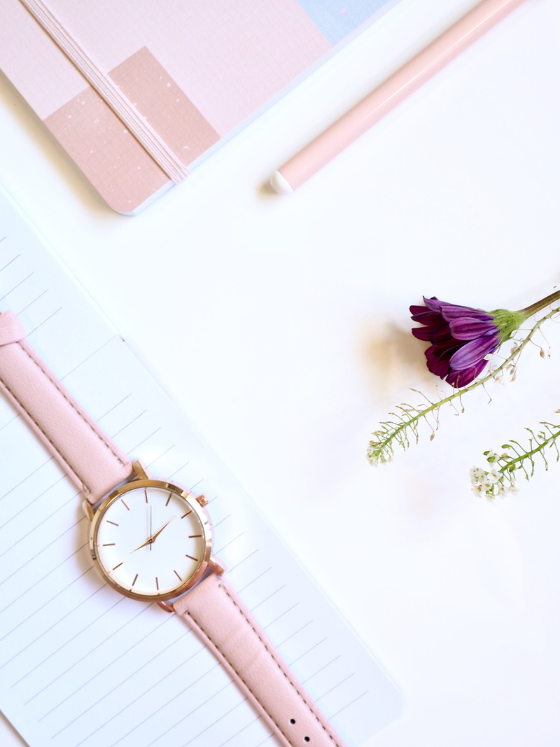 flower head, paper, flower, journal, watch, beauty in nature, clean, vulnerability, self care, still life, clock, purple, business, write, indoors, 4K